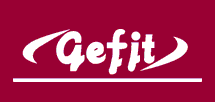Gefit(߶)